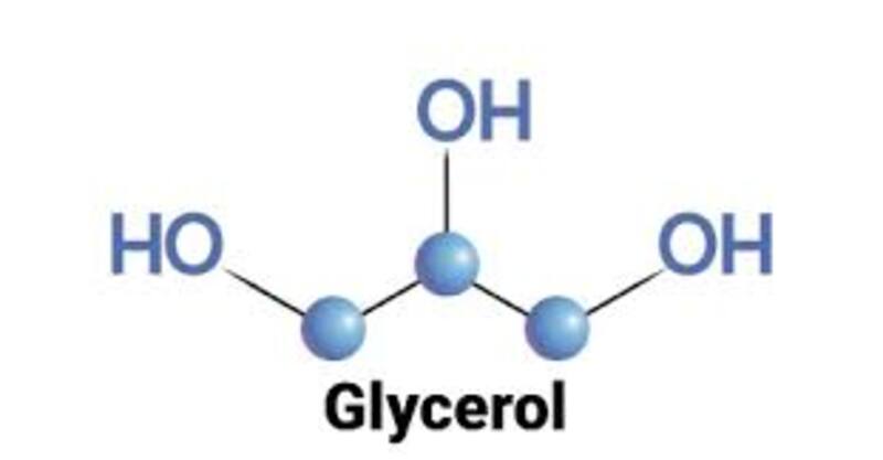  Glycerol là gì? Tính chất lý hóa và ứng dụng trong đời sống